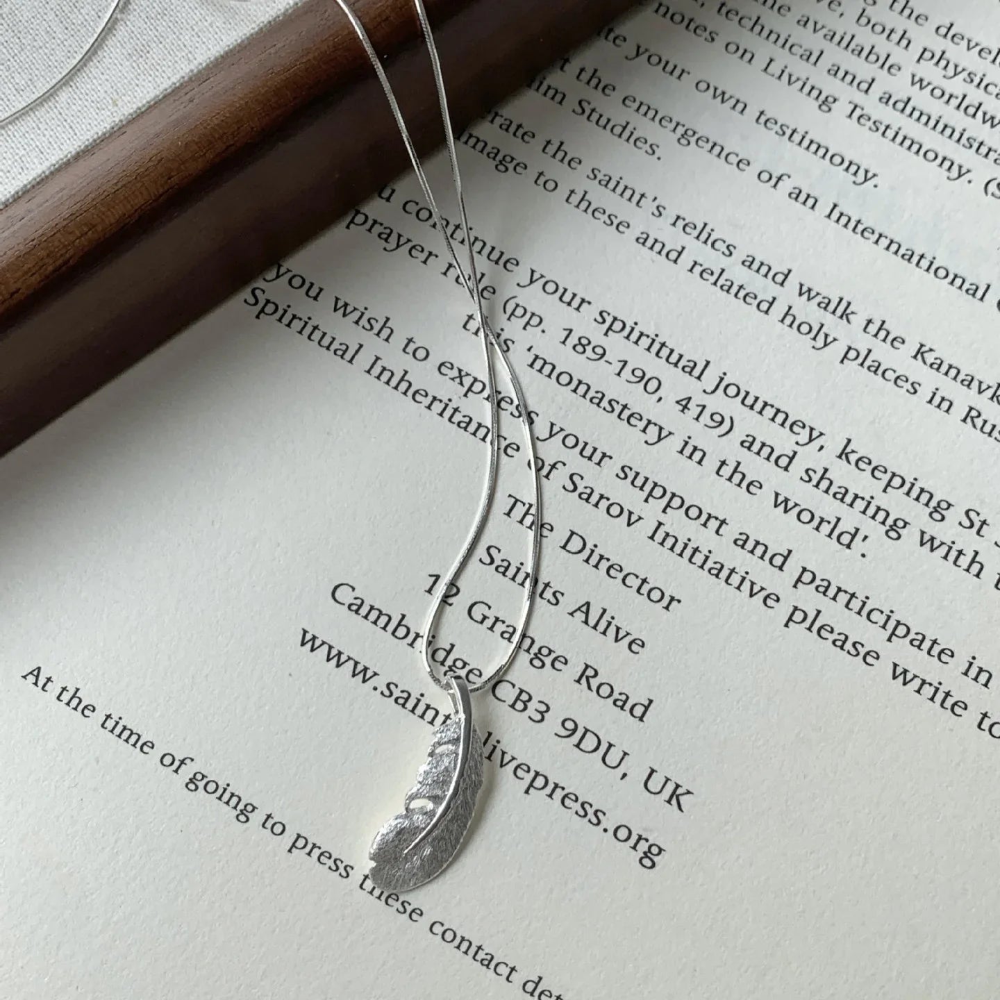 Plume Dream Silver Chord | S925 Silver
