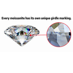 Graceful Drop - shaped moissanite Earrings | S925 Silver | Moissanite